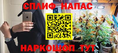 крисы Краснознаменск