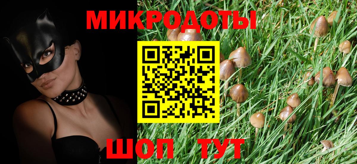 Кузнецк  Псилоцибиновые грибы Cubensis  Вход с VPN  Псилоцибиновые грибы Magic Shrooms 