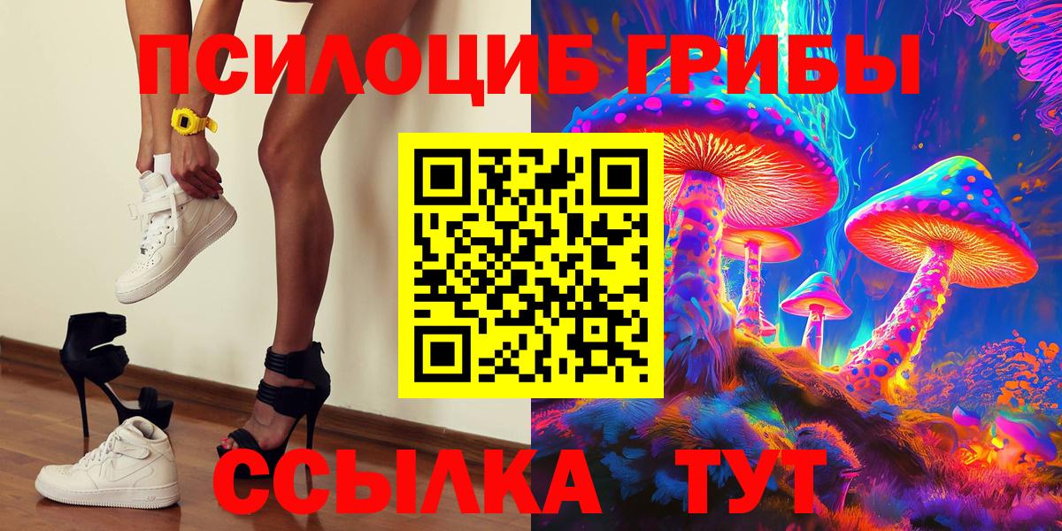 Псилоцибиновые грибы мицелий Кузнецк